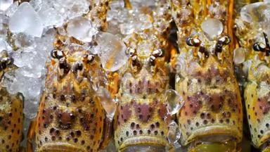 新鲜的龙虾在冰上。 亚洲<strong>街</strong>头<strong>美食</strong>刺虾特写。